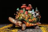 Животные между двух миров на реалистичных картинах Лизы Эриксон (ФОТО)