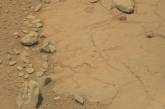 Исследователи разглядели на Марсе череп динозавра