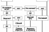 Как работает собачий мозг: смешная схема