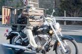 Новозеландца оштрафовали за поездку на мотоцикле в костюме из мангала