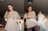 Смешная реакция пса на танцы хозяйки попала на видео 