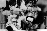 Космические собаки Белка и Стрелка после возвращения с орбиты, 1960г. ФОТО