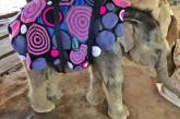Яркие теплые одеяла для замерзающих слонят (ФОТО)