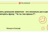 Шутки, которые сделают ваш вечер незабываемым: порция юморных анекдотов (ФОТО)