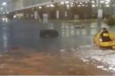В Милане территория аэропорта превратилась в озеро (ВИДЕО)