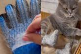 Хозяйка сделала коту валенки из его же шерсти (ВИДЕО)