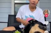 Девушка попала в конфуз, решив, что ее собака – вегетарианка: видео стало вирусным в сети (ВИДЕО)