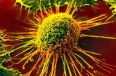 Учёные выяснили, почему рак не поддаётся химиотерапии