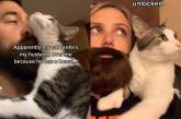 Прицепила бороду: Американка нашла способ заинтересовать кота (ВИДЕО) 