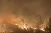 В Турции снова горят леса (ВИДЕО)