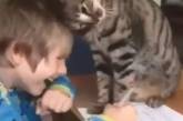Властный кот отвлекал юного хозяина от домашнего задания (ВИДЕО)