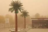 В Ташкенте бушевала мощная песчаная буря (ВИДЕО)