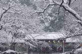 В Китае ЧП в связи с первой зимней метелью (ВИДЕО) 