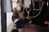 В Норильске женщина с оленем ехала в автобусе (ВИДЕО)