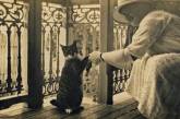 Котики всегда в тренде! Фотографии 1920-х годов. ФОТО