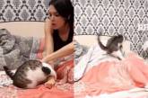 Отмороженный кот удивил девушку и порадовал пользователей Сети (ВИДЕО) 