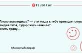 Позитивная пауза рассмешит даже страуса: новые анекдоты для поднятия настроения (ФОТО)