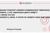 Устал на работе - отвлекись на анекдоте: свежие шутки на вечер (ФОТО)