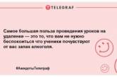 Позитивная пауза рассмешит даже страуса: свежие шутки для поднятия настроения (ФОТО)