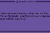 Озари мир своей улыбкой: порция веселых шуток на утро (ФОТО)