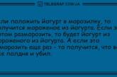 Волна позитива с уморительными анекдотами на день 