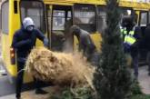 В Киеве бараны поучаствовали в акции протеста (ВИДЕО)