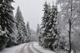 Украинские Карпаты засыпало снегом: сказочные фото