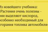 Начинаем субботний день с юмора: веселые анекдоты (ФОТО)