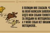 Свежая порция субботних шуток для поднятия настроения (ФОТО)