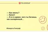 Квитанции на снег ещё никому не приходили? Подборка веселых анекдотов для настроения (ФОТО)