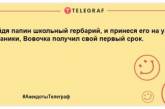 "Что нового в школе, Вовочка? — Я с папой двоечника не беседую": эти шутки понравятся всем (ФОТО)