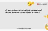 И только ёлки ненавидят Новый год: лучшие новогодние шутки и мемы на вечер (ФОТО)