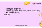 Настроение — уйти в новогодний запой уже сейчас: улетные анекдоты на день (ФОТО)