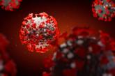 Переселяется в мозг и сердце: ученые шокировали долгой жизнью коронавируса после выздоровления