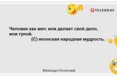 Не откладывайте ничего на завтра — кладите на все уже сегодня: уморительные шутки на день (ФОТО)