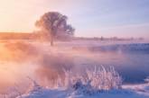 Фотограф показал утренние красоты зимы (фото)
