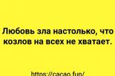 Анекдоты, чтобы забыть все проблемы