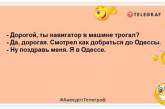 Сидишь на диете — ужин отдай коту: анекдоты для отличного настроения этим днем