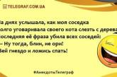 Для хорошего настроения: анекдоты, которые скрасят ваш вечер