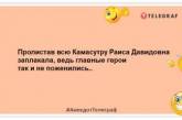 Настоящая любовь — это когда помыл кота, а он все равно к тебе пришел: позитивные шутки, которые вас рассмешат