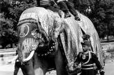 Маршал Жуков катается на слоне во время визита в Индию, 1957 г. ФОТО
