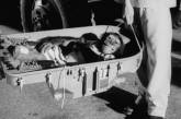 Хэм-первый шимпанзе-астронавт, вернувшийся из 16-часового полета, 1961 г. ФОТО