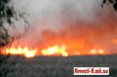 Стихийное бедствие на Херсонщине: пылают сотни гектаров днепровских плавней