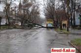 Упавшее дерево заблокировало движение трамваев