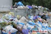 В Николаеве микрорайон Водопой снова завалило мусором