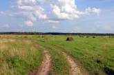 В поле на Николаевщине найден мертвым работник сельхозпредприятия