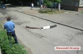 В Николаеве грузовик насмерть сбил пешехода и скрылся. ФОТО 18+