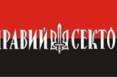 «Правый сектор» позвал «кадыровцев» в Николаев