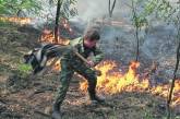 Жара грозит поджечь всю Украину