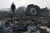 В сети появилось видео с места падения "Боинга 777"  под Донецком